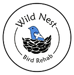 Wild Nest Bird Rehap
