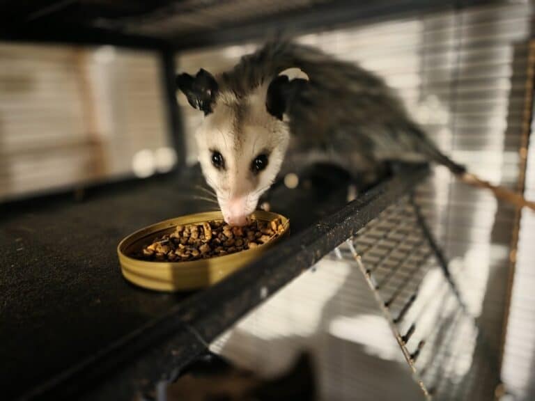 November 10, 2025 – November 23, 2025