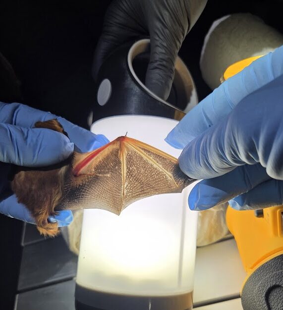 November 3, 2025 – November 9, 2025